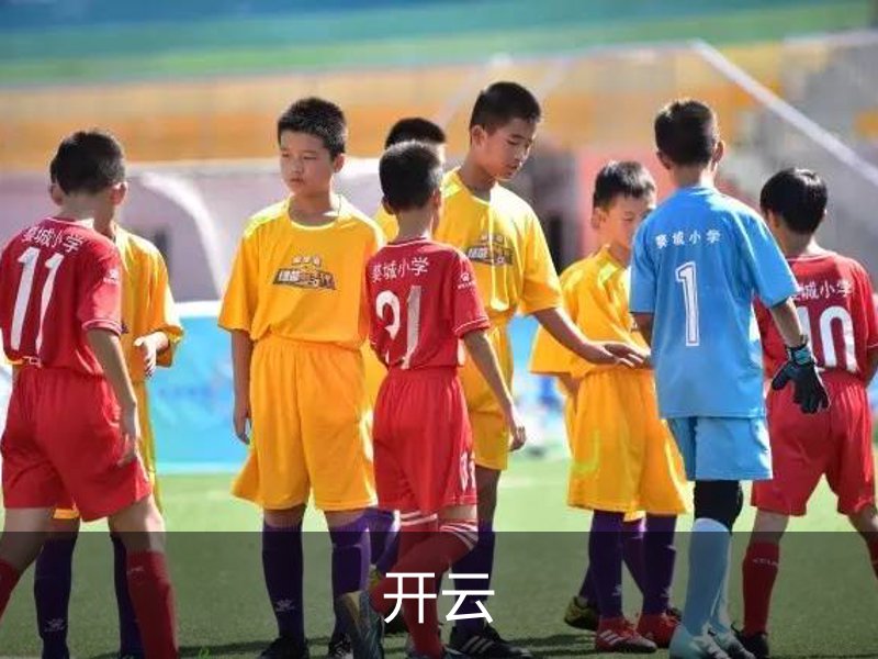 开云简介